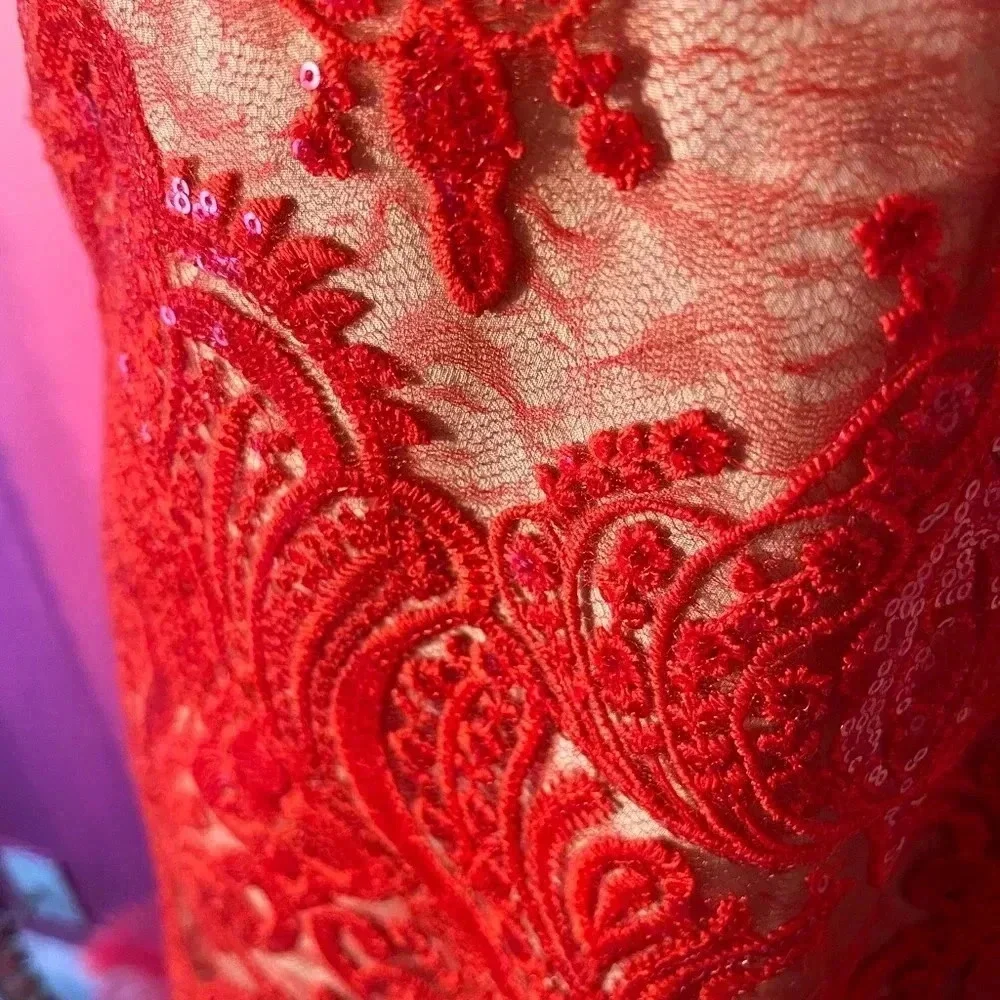 Free People lace and sequin dress
